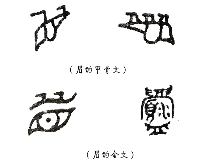学汉字:为什么古时给人祝寿称"眉寿"?
