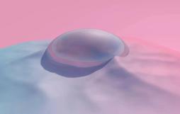 浙江财经大学东方学院官网（我的第一志愿）