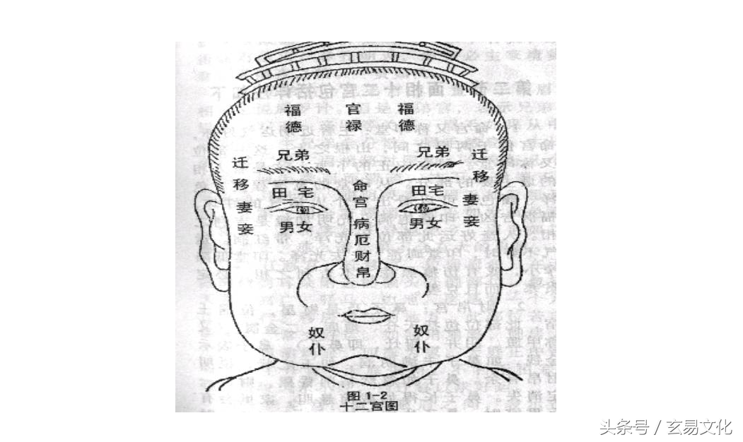 面相教学1：天中、天庭、司空、中正、印堂、山根、年上、寿上