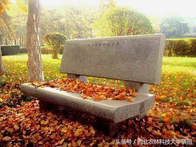 申请武大博士，发表多篇sci,这所985高校的男神学霸演绎跨学科传奇