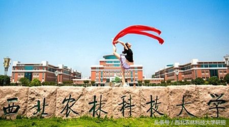 申请武大博士，发表多篇sci,这所985高校的男神学霸演绎跨学科传奇