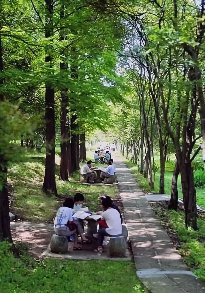 低调地生产科技大佬——华中科技大学