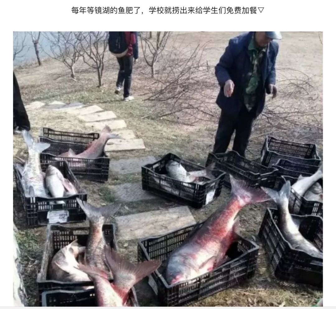 小煤球有大能量——中国矿业大学