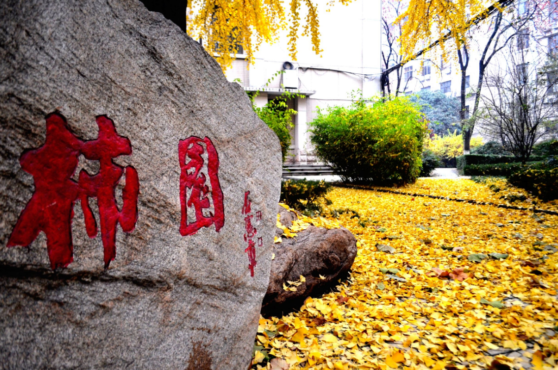 志愿填报必看！长安大学2018年各院系招生专业汇总（完整版）