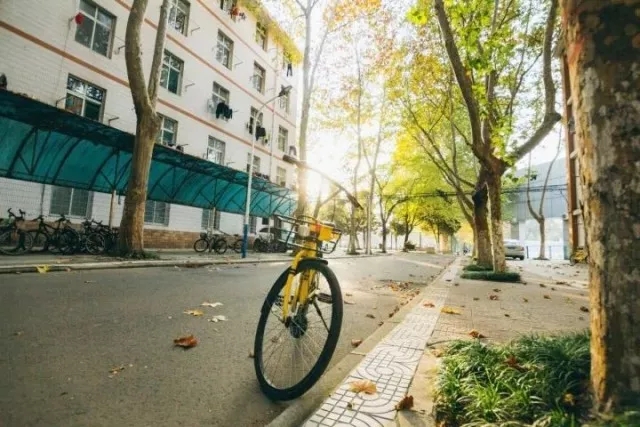 志愿填报必看！长安大学2018年各院系招生专业汇总（完整版）