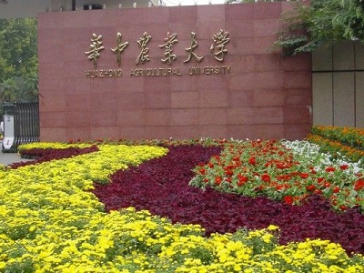 考620分的四川理科考生，你的高考志愿这样填把握性才比较大