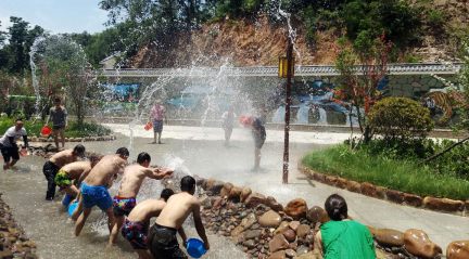 俄罗斯世界杯神鸡预测(大鸿寨神鸡，准确预测韩国比分，今晚又是一场大败！)