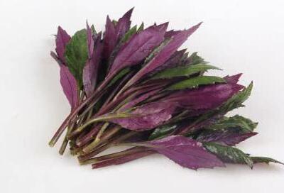 血皮菜到底能不能吃？