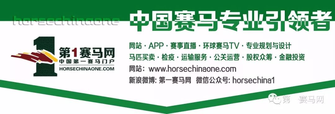 网上怎么买马注册（划重点啦）