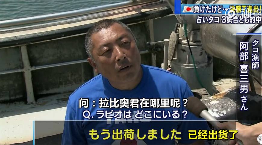 章鱼哥为什么预测世界杯(日本章鱼哥成功预测日本队3场比赛！然后被店主煮熟上摊了……)