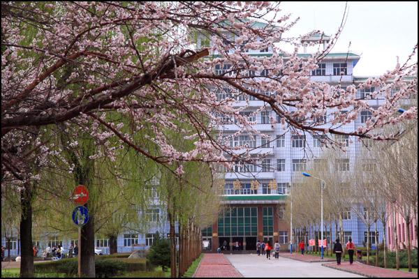 你知道中国最东端的大学吗，这是一座充满记忆的城