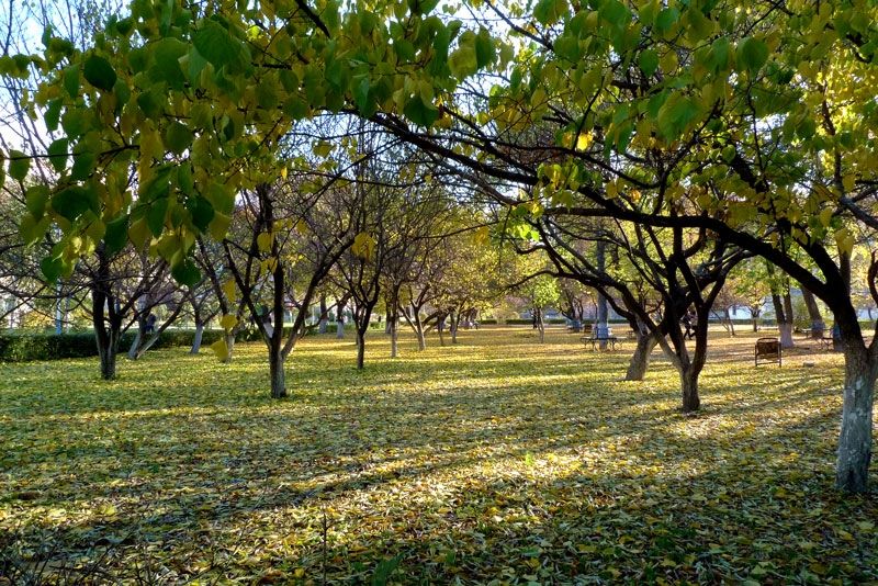 你知道中国最东端的大学吗，这是一座充满记忆的城