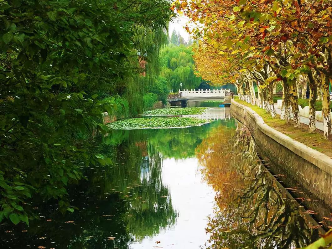 天堂就是丽娃河——华东师范大学