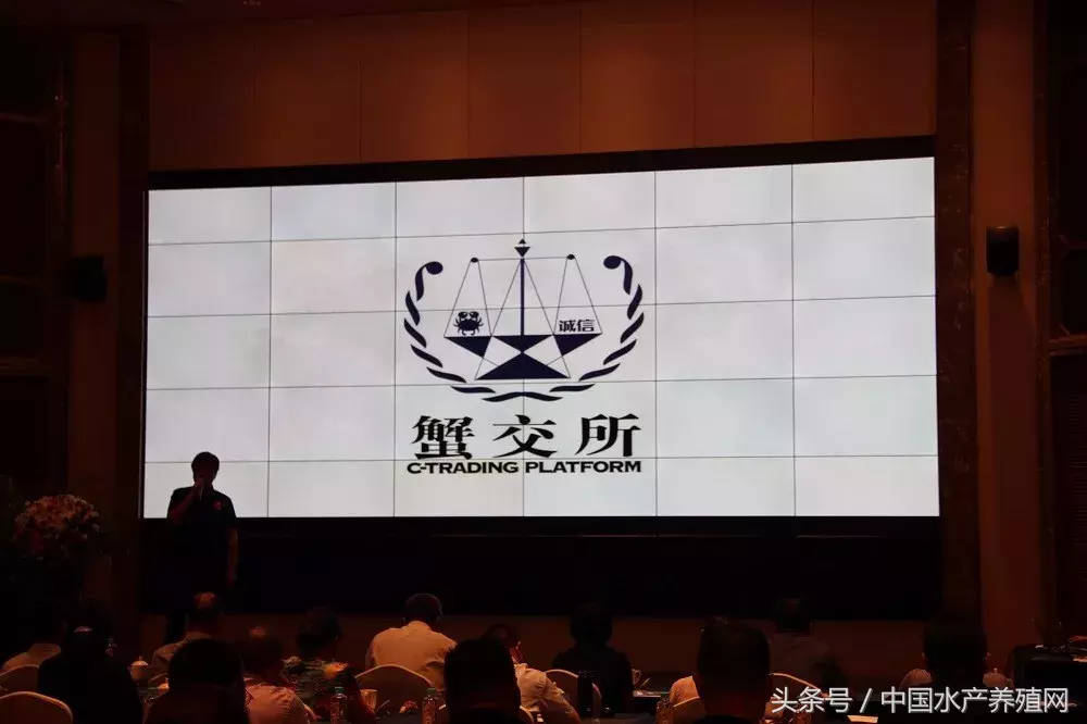 告别软规格蟹，建立螃蟹交易行业诚信！蟹交所B2B交易平台发布！