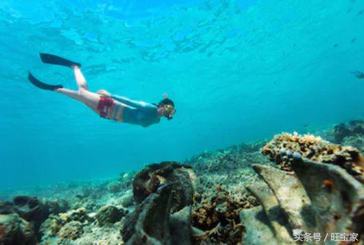 宝宝游泳，到底该不该学？什么时候学？怎么学？