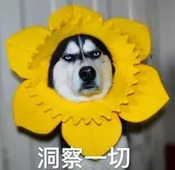 心有猛虎,细嗅蔷薇,收放自如的周树或许是最真的黄晓明