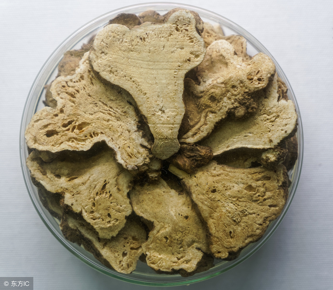 中药白术,健脾养胃,补中益气