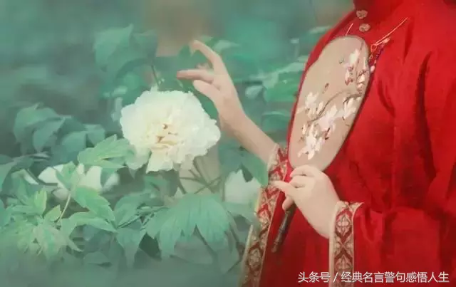 真诚交友，用心相处，让友谊之花在彼此心中绽放，共同走过人生美好时光。