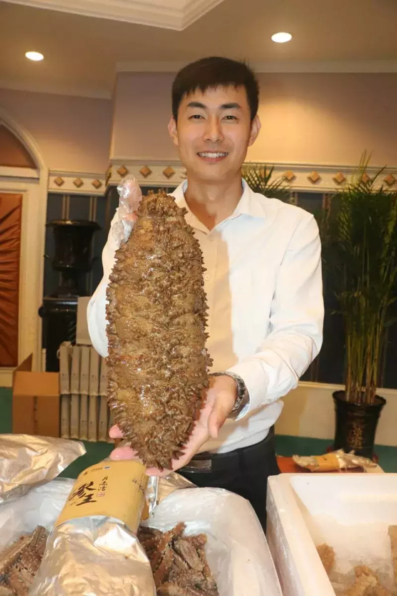 所有青岛人,来自冰岛的刺参金梦贝到货了,快吃点好海参吧!