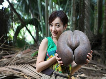 女人看了会脸红的植物(让女人脸红的奇葩植物) - 上海苗木信息网