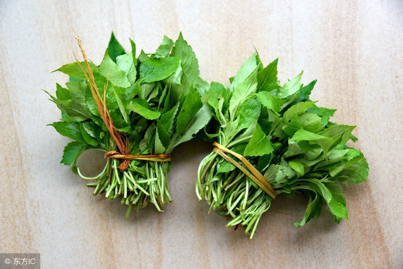 从前在农村老家吃的几种清凉解毒的苦菜,全吃过的至少30岁以上