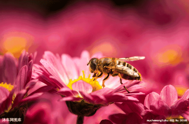言多必失，祸从口出，人活着不能说的六句话！（句句在理）
