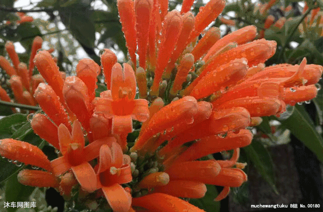 言多必失，祸从口出，人活着不能说的六句话！（句句在理）