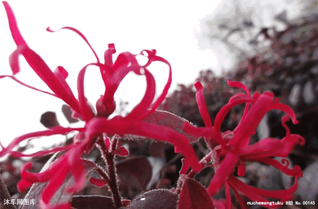 言多必失，祸从口出，人活着不能说的六句话！（句句在理）