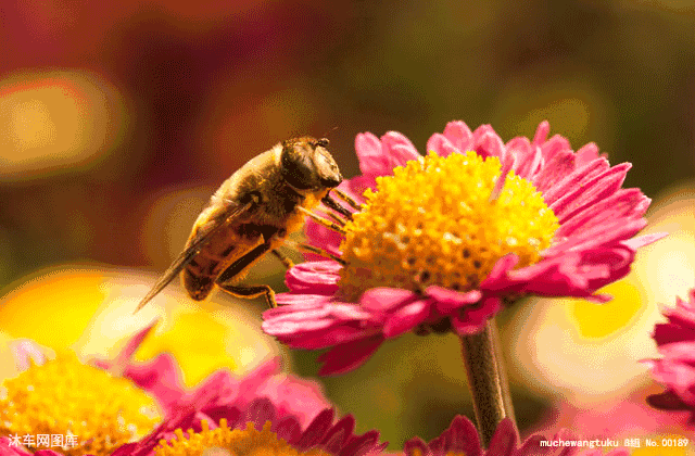 言多必失，祸从口出，人活着不能说的六句话！（句句在理）