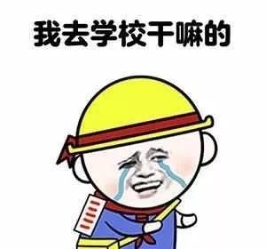 我在学校就干了三件事