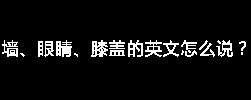 墙、眼睛、膝盖的英文怎么说？我爱你「抖音表情包」