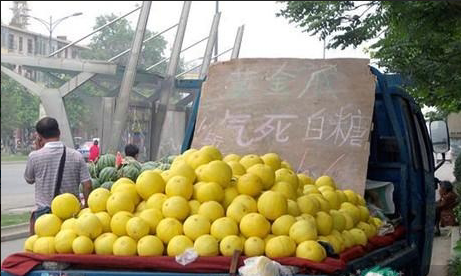 水果摊雷人广告语，有创意，有个性，还是很有吸引力的