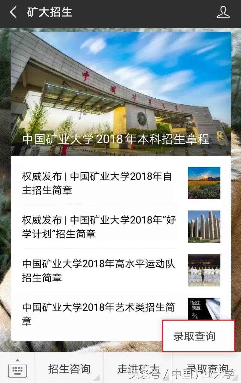 中国矿业大学2018年本科招生录取结果查询（持续更新）