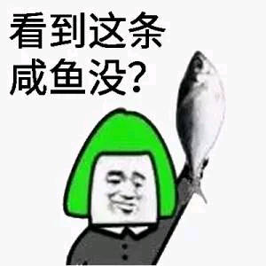 看到这条咸鱼没