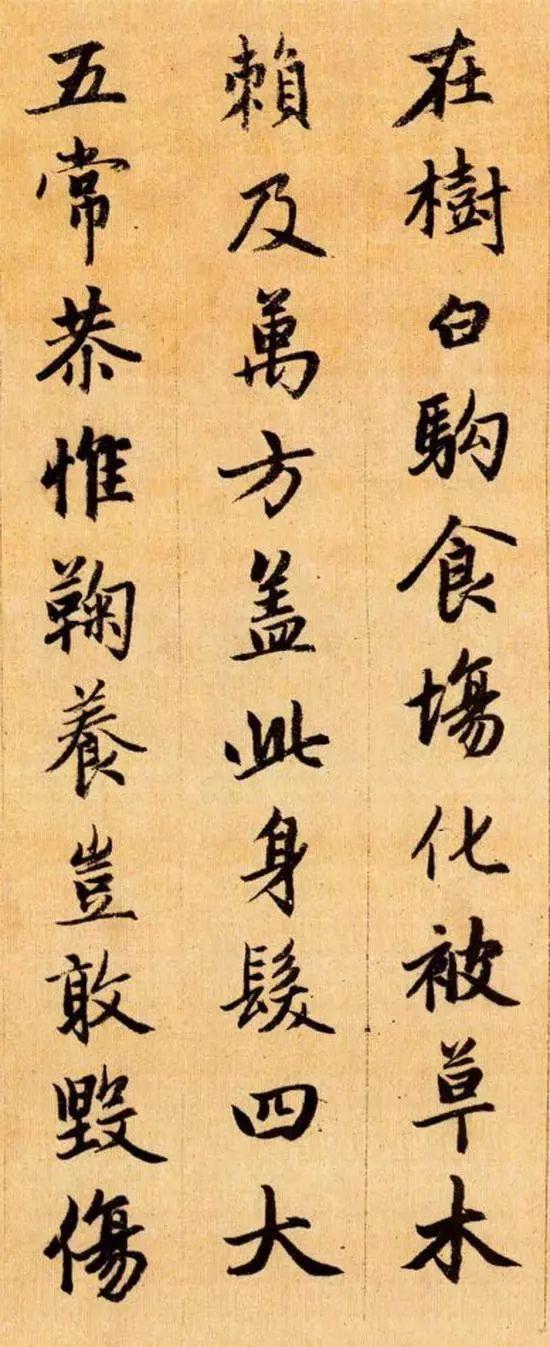 你可能不知道的《千字文》