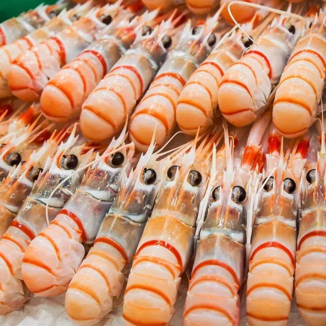 新西兰小龙虾,普通小龙虾只能给它提鞋!