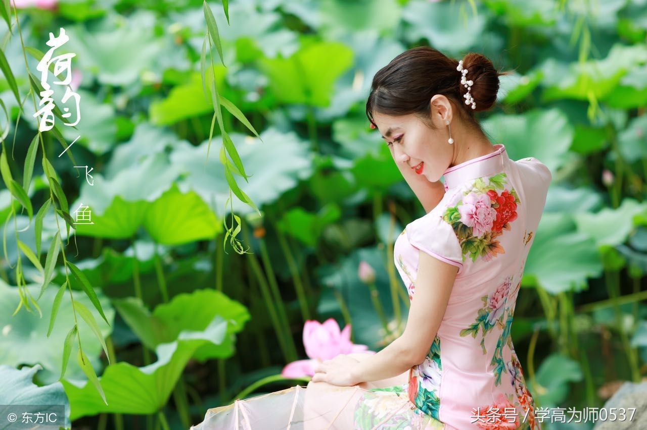 历代诗词大家咏荷100首 扑鼻荷香书中来