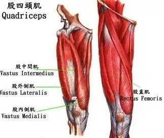 練瑜伽如何保護好膝蓋？這樣做就對了（收藏級）