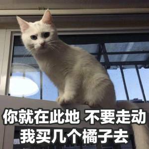 你要出去？去哪里？和谁？去干什么？什么时候回？回来还爱我吗？