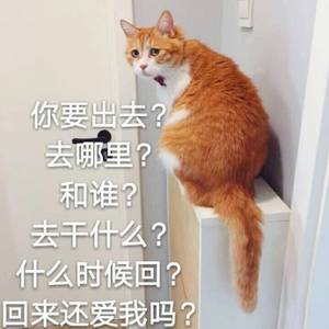 你要出去？去哪里？和谁？去干什么？什么时候回？回来还爱我吗？