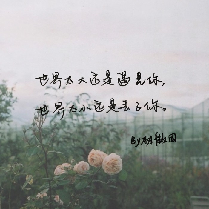 你轻叹世态炎凉，却忘了冷暖自知