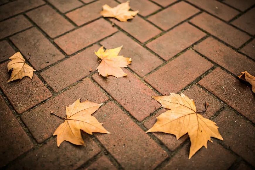 史上最唯美的十首诗词，让人回味无穷