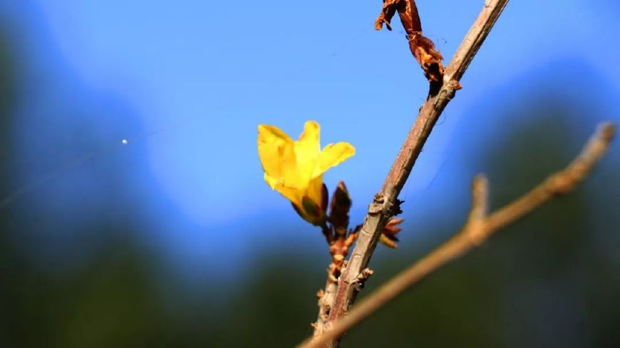 史上最唯美的十首诗词，让人回味无穷