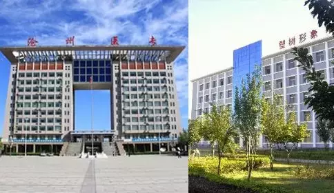 定了！河北28个省级职教集团名单公布，这些院校牵头