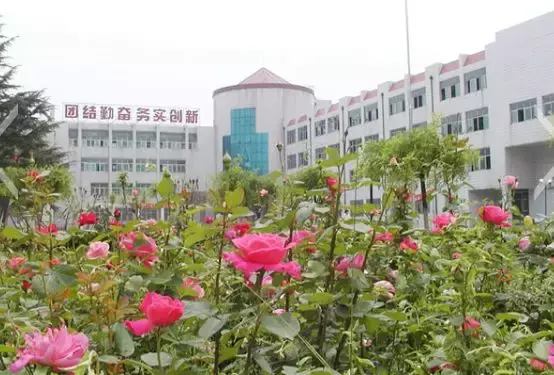 定了！河北28个省级职教集团名单公布，这些院校牵头