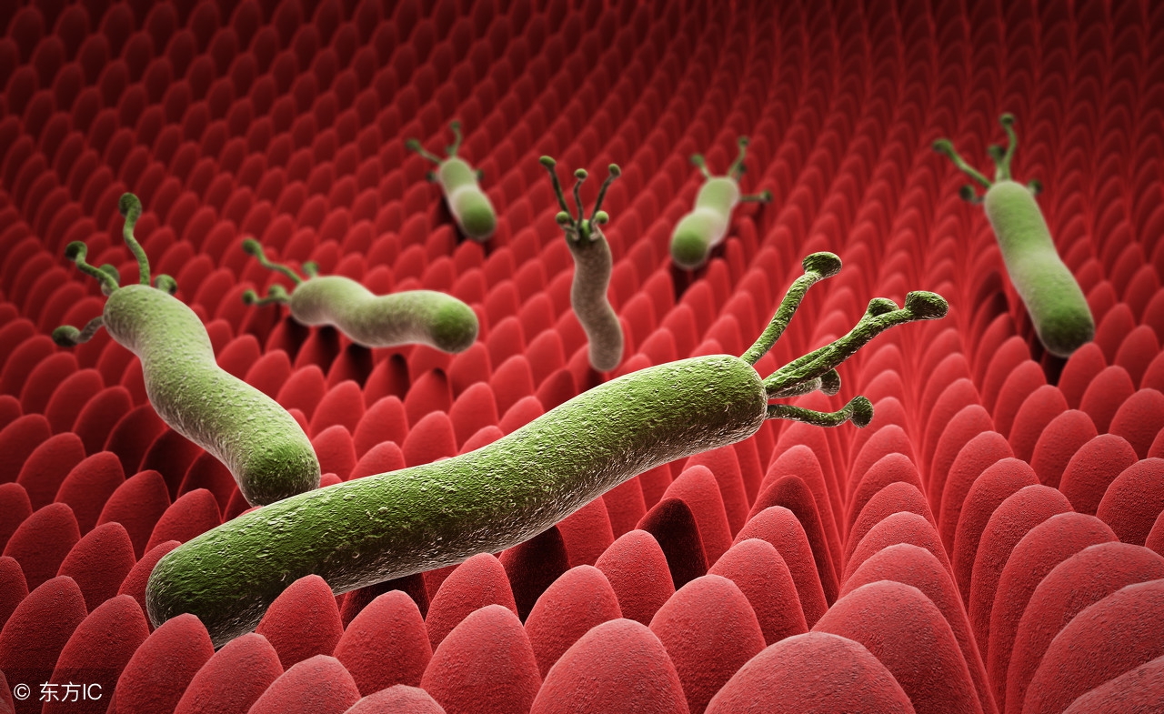 修改前:细菌性痢疾,肠炎,霍乱,也可以用于伤寒,副伤寒,贾第鞭毛虫病