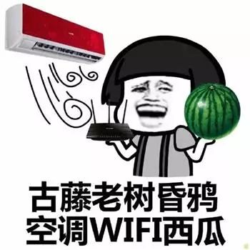 抖音超火的连不上隔壁的wifi表情包：一组开头就让人想歪的表情包