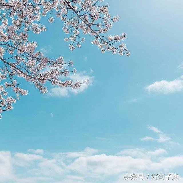 最浪漫的告白情话，句句唯美暖心，听完心都化了图片