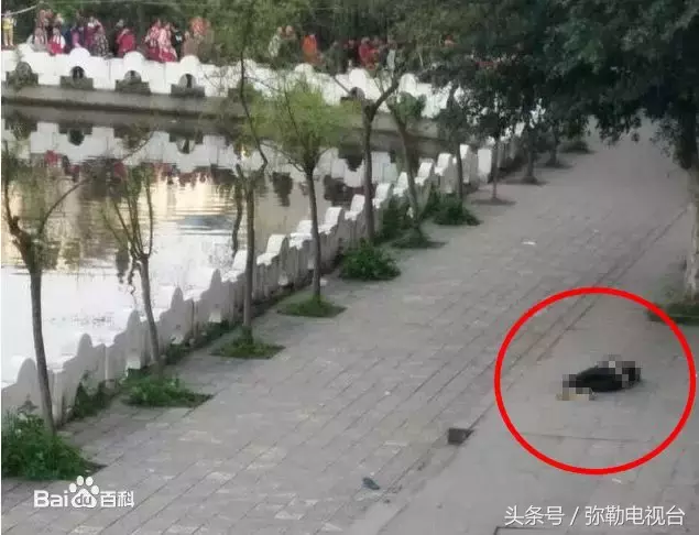 “四中学生打死人了！”弥勒疯传！真的吗？