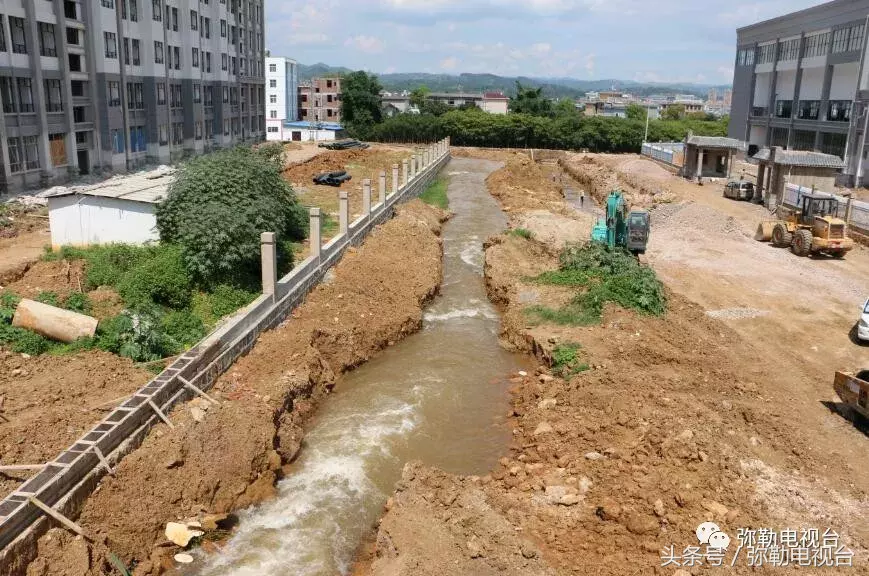 “四中学生打死人了！”弥勒疯传！真的吗？